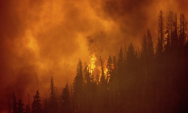 A forest fire raging in Sequoia national forest, California, in 2021.