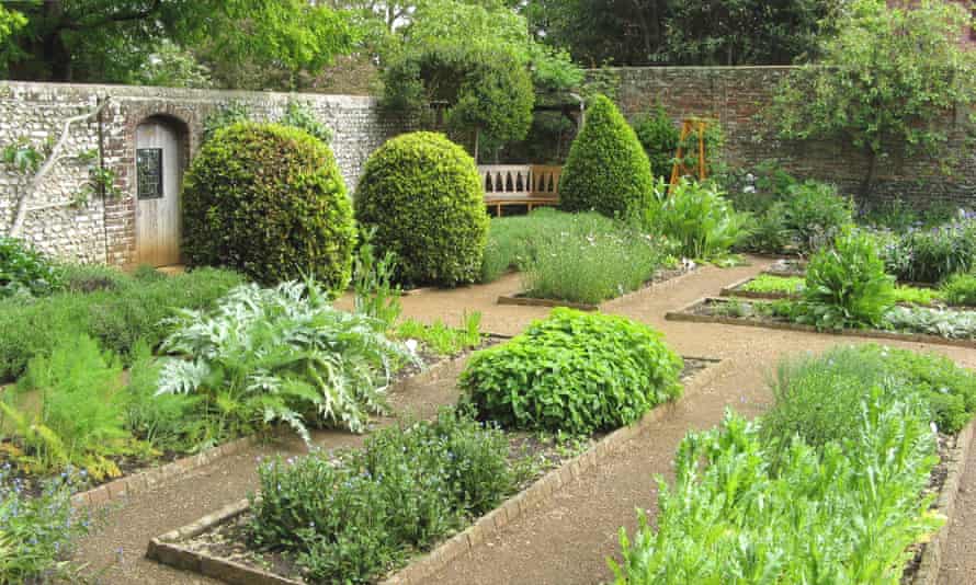 Cornfield of Peterfield Physical Garden in Hampshire