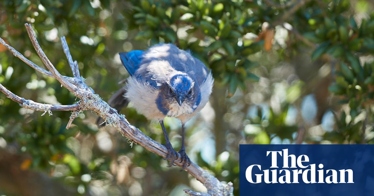 Noisy environments can have detrimental effect on plants, study finds
