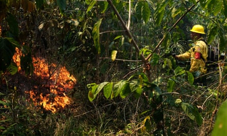 A volunteer fire brigade member attempts to control hot points in Mato Grosso state, Brazil, on 28 August.