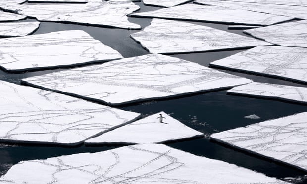  Scientists at the National Snow and Ice Data Center said that Arctic sea ice dipped for a short time in mid-November by around 50,000 sq km. Photograph: John Weller/AFP/Getty Images
