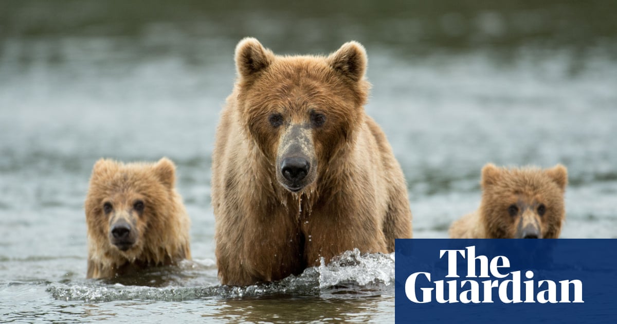 4284.jpg?width=1200&height=630&quality=8