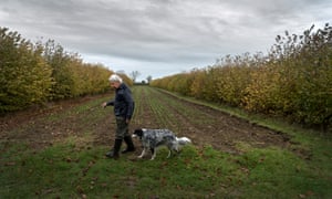 Plant pathologist Martin Wolfe has devoted his retirement to experimenting with agroforestry. 