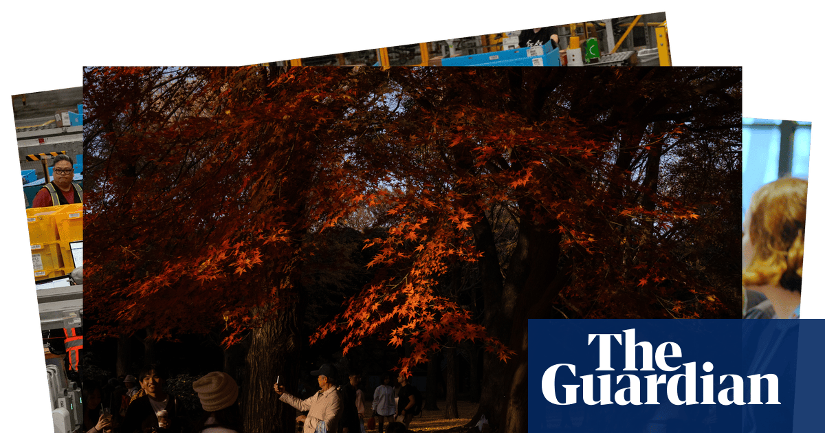 Autumn maples and Frankfurt in the fog: photos of the day – Monday