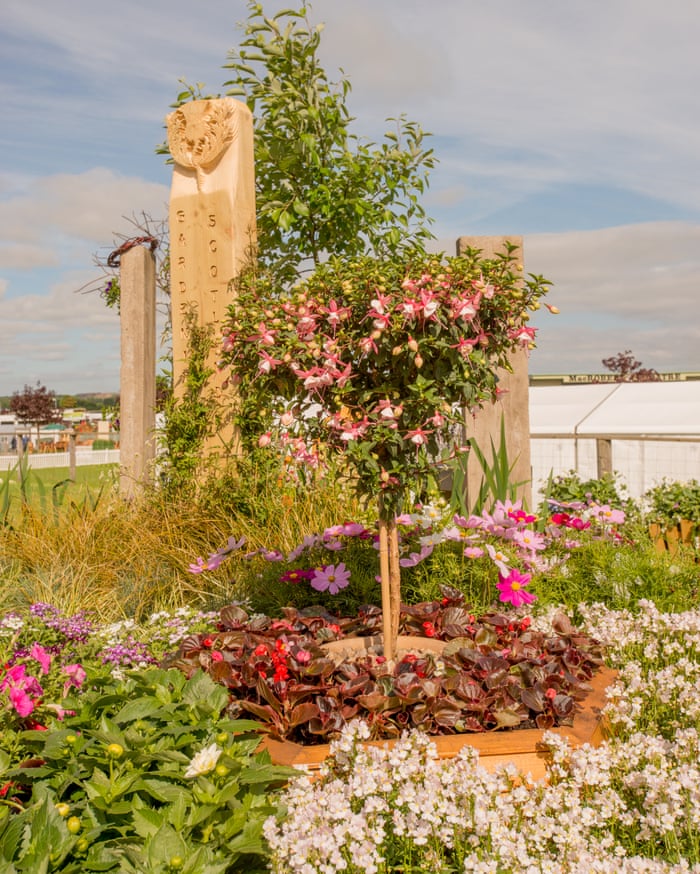 Scottish Gardening Blogs