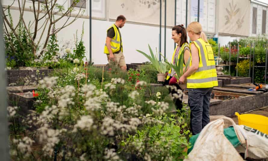 Lottie Delamain (left) and her team preparing for Chelsea flower show