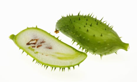 a cut open picture of the achocha fruit
