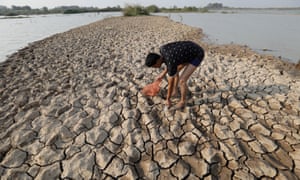 A man catches a fish in a drought-stricken lake on the outskirts of Phnom Penh, Cambodia