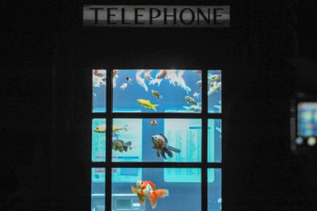 A BT phone box converted into an aquarium with live goldfish, part of the Lumiere London arts festival, 2018.