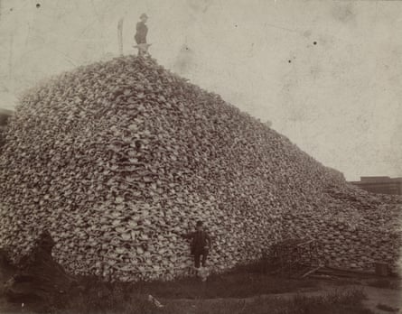 A mountain of bison skulls with two men standing on them, US, 1892