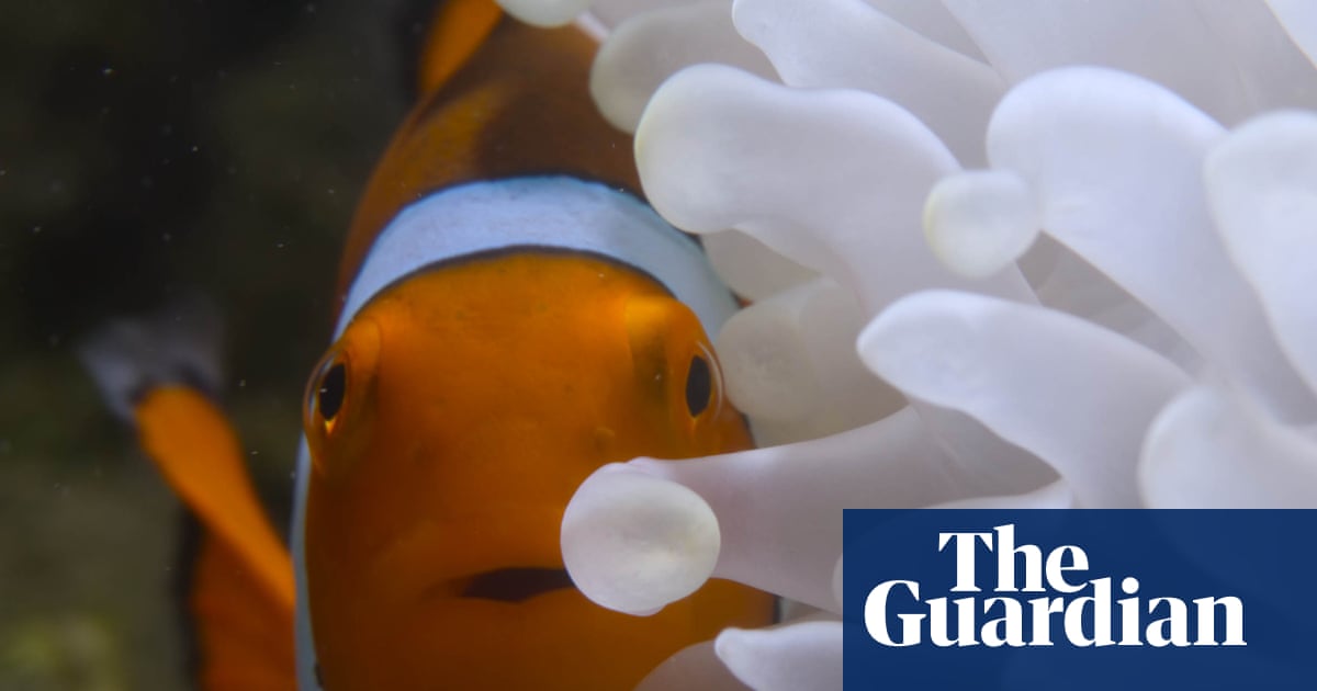 TV tonight: Andrew Lincoln narrates an impressive nature series