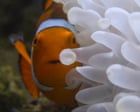 TV tonight: Andrew Lincoln narrates an impressive nature series