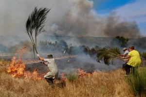 People using branches to try to put out a grass fire