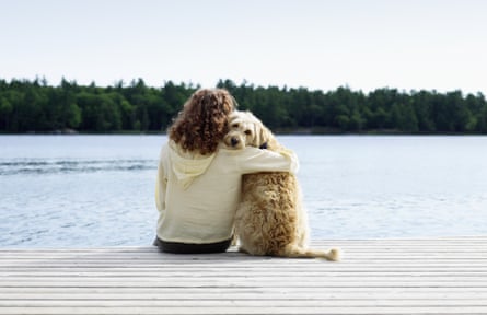 Woman sitting with dog on jetty, rear viewCanada, Ontario, Stoney Lake