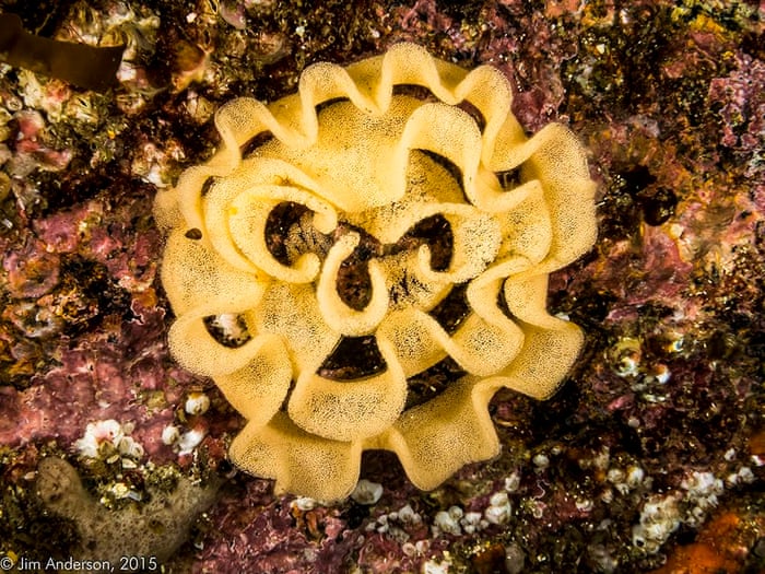 What Lies Beneath Discovering Surprising Jewels In The North