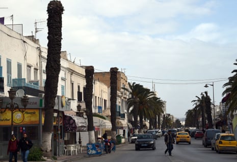 Palm trees on the outskirts of Tunis show damage wrought by the red palm weevil.