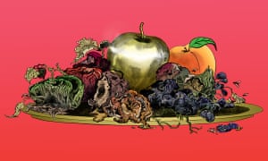 illustration of rotting fruit