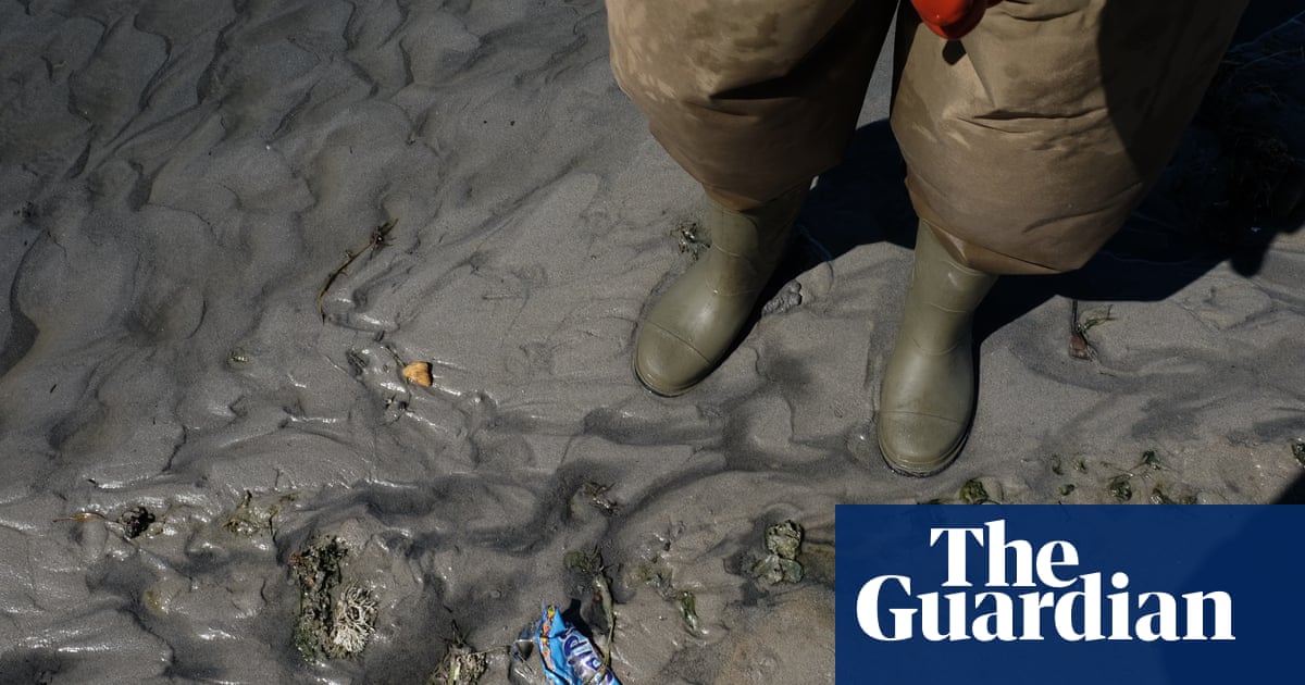 Kicking up a stink: row over sewage pollution blighting Cape Town's beaches