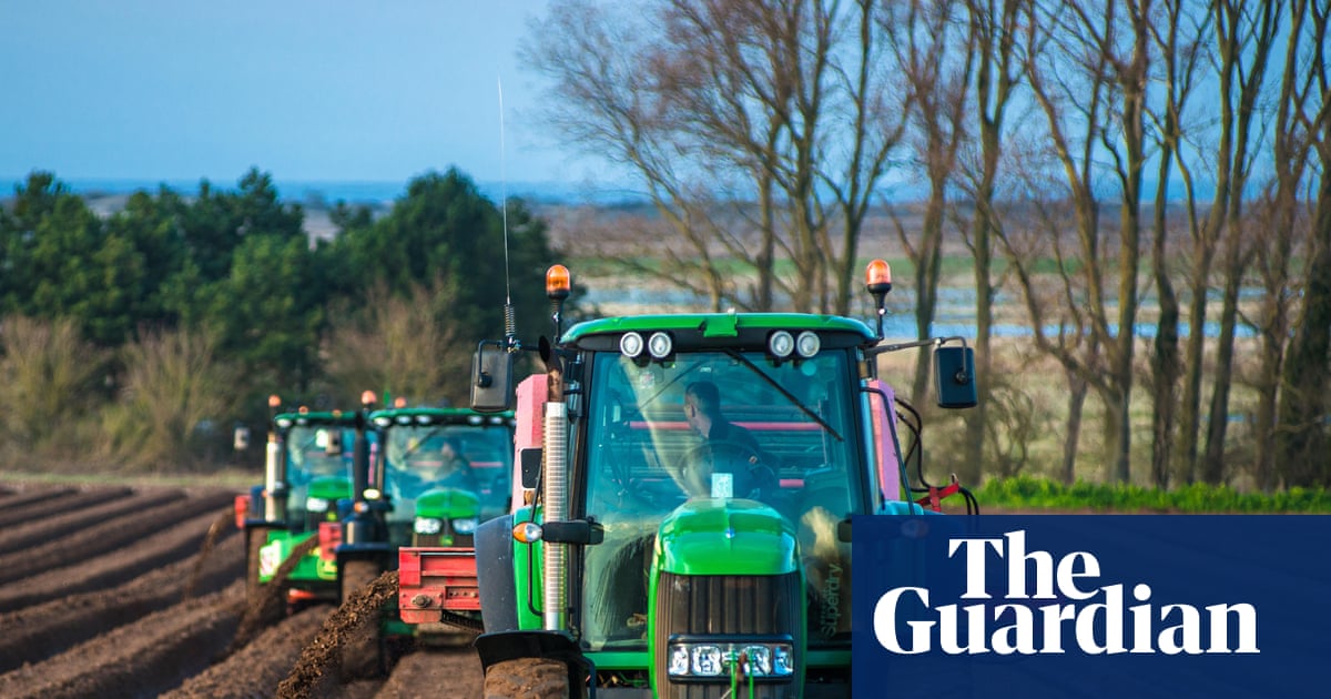 Global food supplies could be badly hit if Iran war drags on, says fertiliser boss