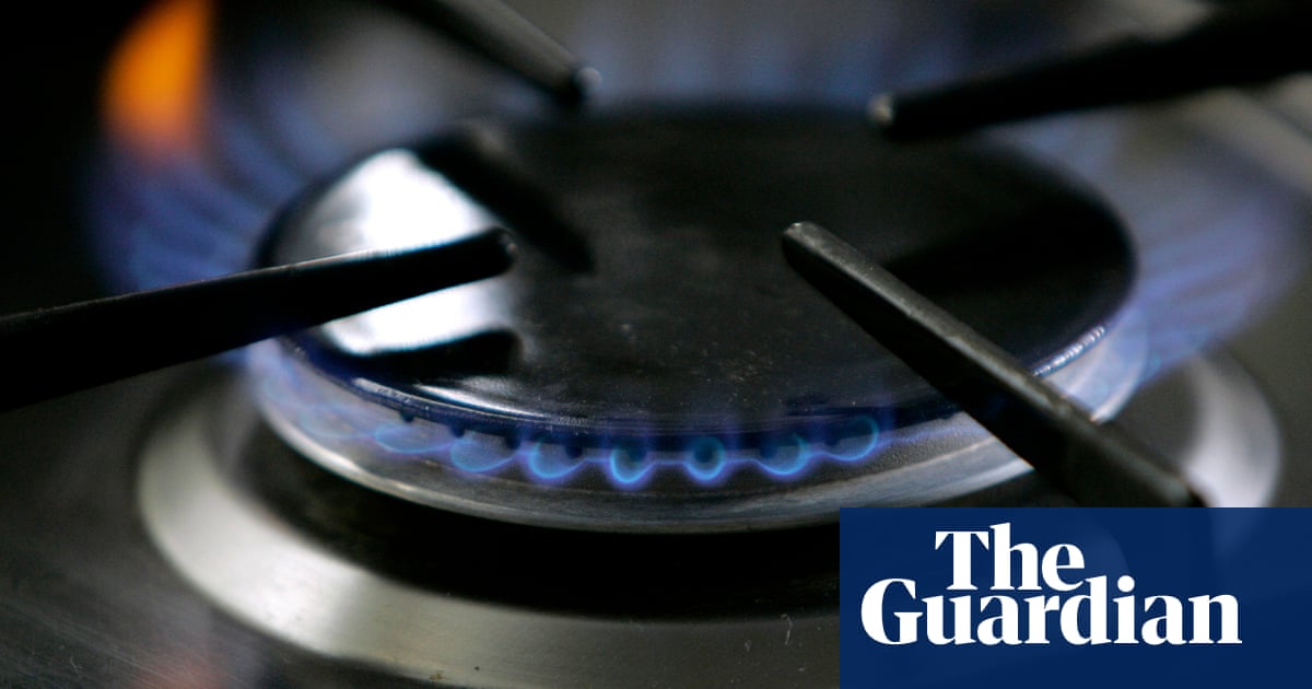 Gas stoves increase nitrogen dioxide exposure above WHO standards – study | Gas stoves