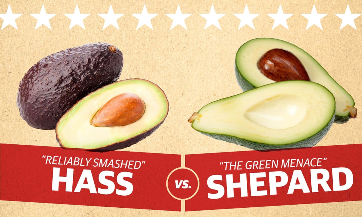Avocad No Why Does Everyone Hate The Shepard Avocado Avocados The Guardian Avocad No Why Does Everyone Hate The Shepard Avocado Avocados The Guardian