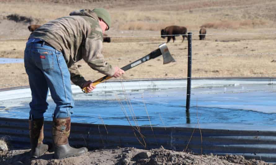 Un homme utilise une hache pour briser la glace sur une nappe d'eau peu profonde.