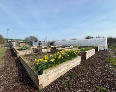 Friends of the Field community garden.