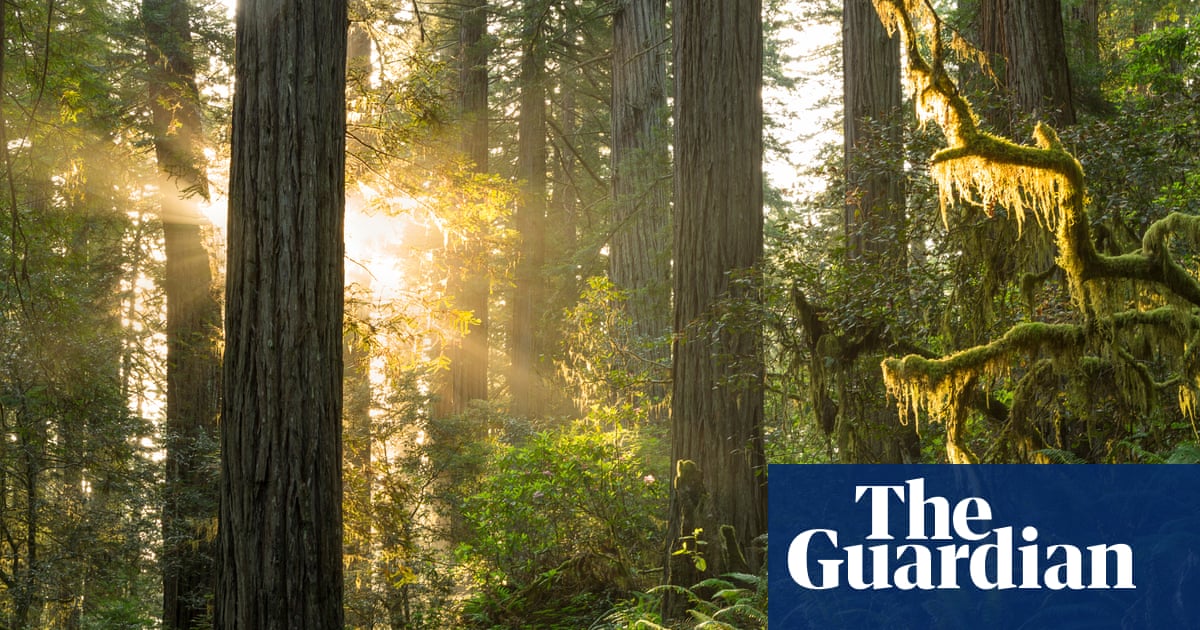 Look up: five hopeful novels about the climate crisis