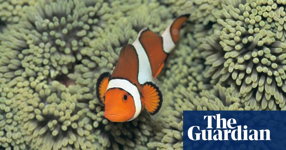 Gaya Island Borneo S Biodiverse Treasurehouse Of Jungle And