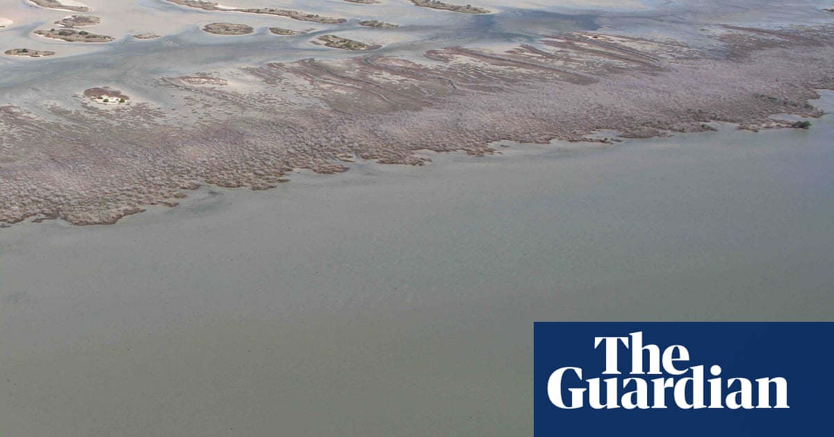 This is what climate change looks like in Australia in pictures Australia news The Guardian This is what climate change looks like in Australia in pictures Australia news The Guardian