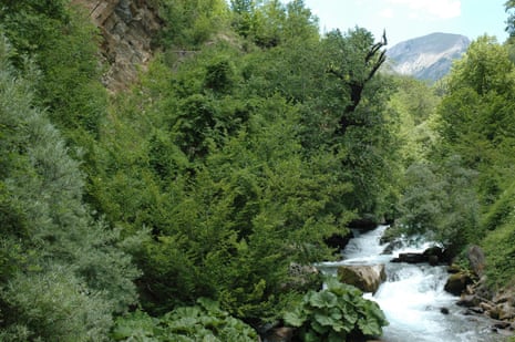 The Mala Reka river in Mavrovo national park Macedonia