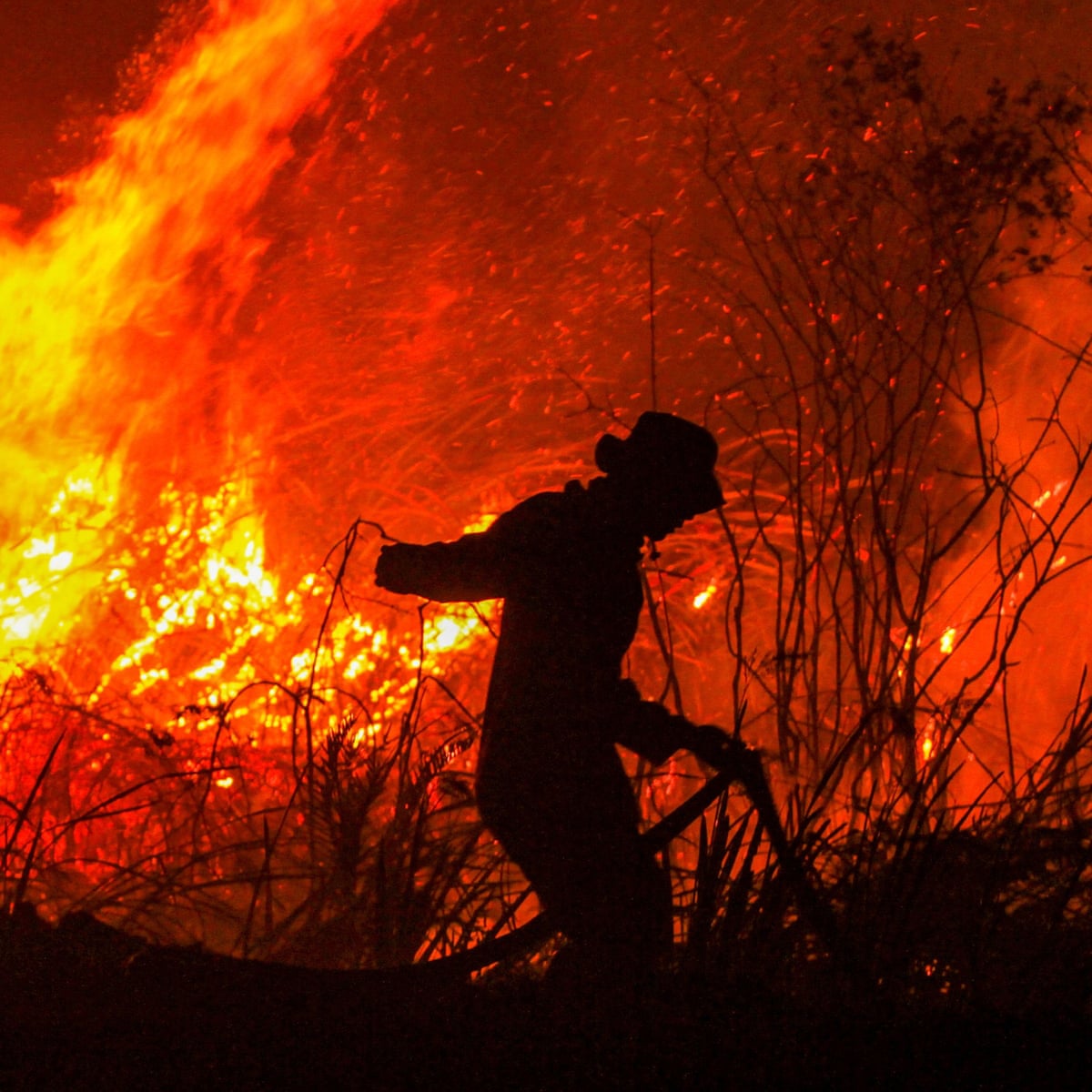 Indonesia forest fires spark blame game as smoke closes hundreds of Malaysia schools | Malaysia | The Guardian