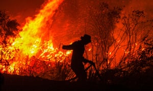 随着吉隆坡加大对雅加达的压力，解决负责整个地区烟雾的火灾，消防人员在南苏门答腊省红毛丹村的森林大火中扑救。 