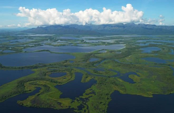 ‘Losing Noah’s Ark’: Brazil’s plan to turn the Pantanal into waterway threatens world’s biggest wetland The Pantanal is the world’s largest tropical wetland, with 380 species of fish, 580 species of birds and 2,272 plants.Photograph: Carl de Souza/AFP/Getty