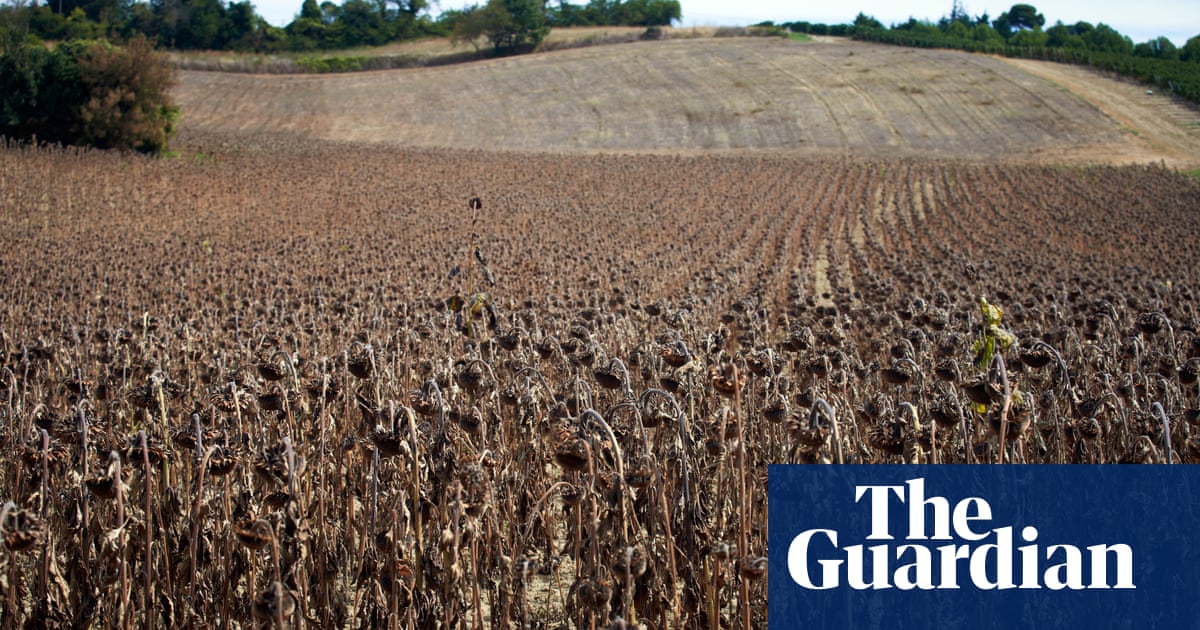 Climate crisis and energy costs fuel £600 rise in UK household food bill, analysis finds | Inflation | The Guardian