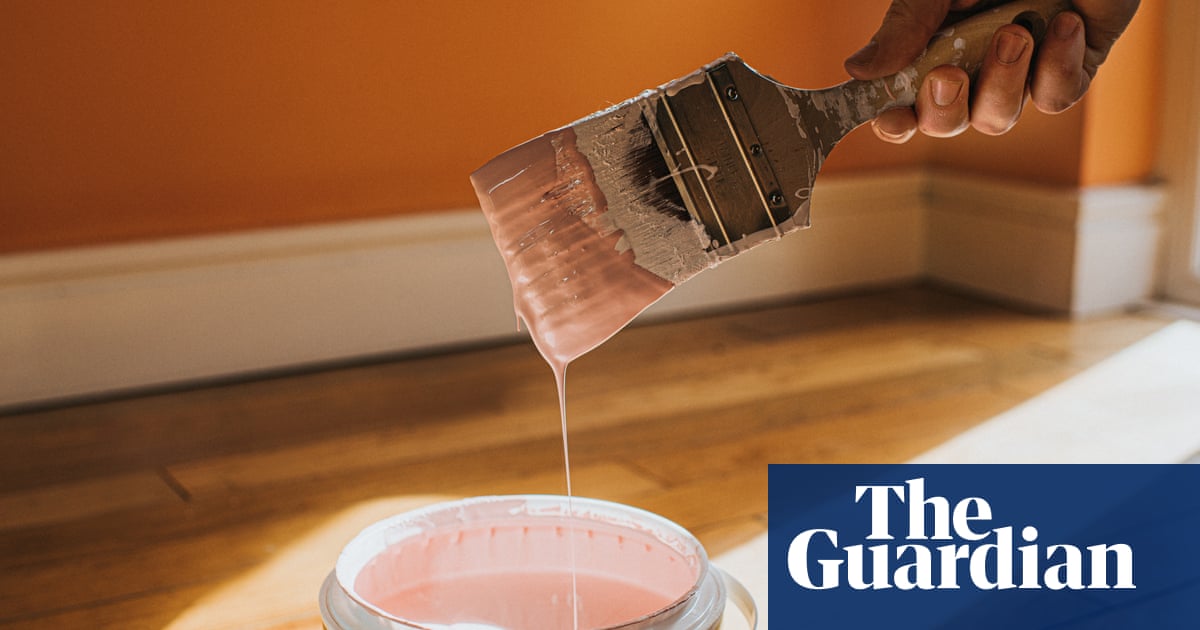 Don’t go up the wall: how to pick paint colours for your home