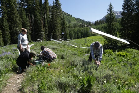 Four scientists in a grassy meadow in the Colorado Rockies setting up their instruments to measure carbon exchange between plants, soils and the atmosphere.