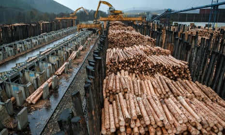 Thousands of logs pilled up in a sawmill in eastern France