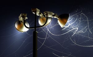 Moths swarm around lights. Light pollution has emerged as an overlooked driver of plummeting insect populations.
