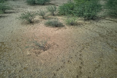 A parched desert with scrub