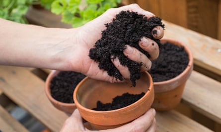 Ask OCRRA: Can I add compost to potted plants? 