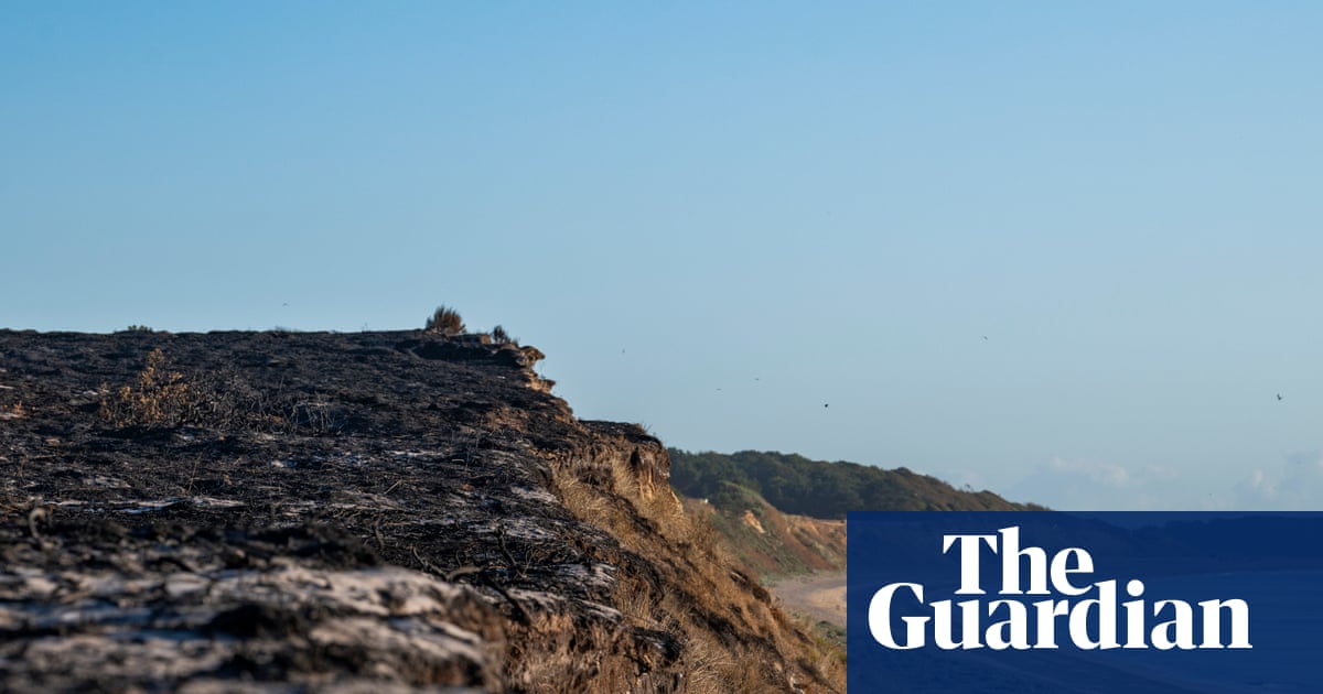 ‘These are human fires, not wildfires’: Dunwich reflects on the devastation