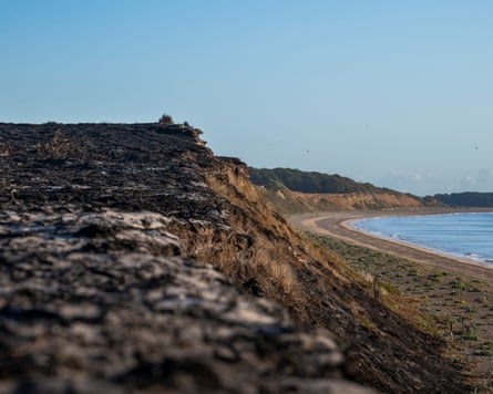 The beach at Dunwich heath, showing fire damage