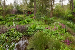 Linn Botanic Gardens A Scottish Arcadia In Pictures Books