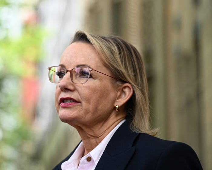 Coalition showdown on net zero looms amid speculation more MPs could quit over policy