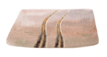 tire tracks through the desert