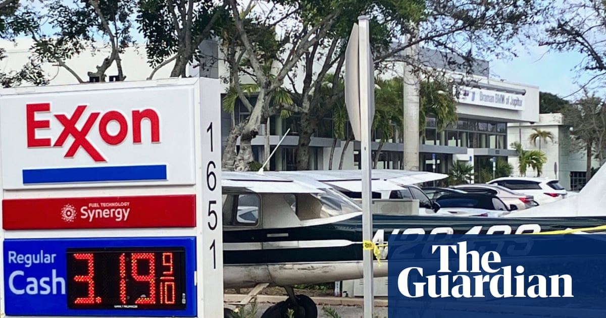 You just execute': 19-year-old pilot makes emergency landing in Florida