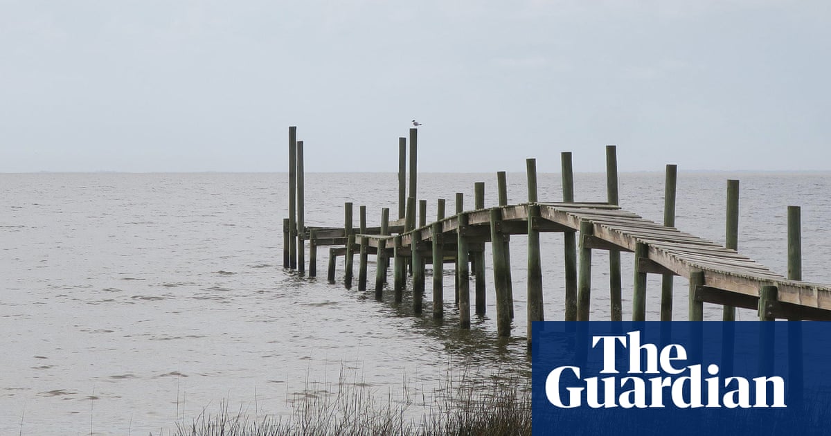 ‘This bill protects our precious waters’: how a Florida environmental group scored a win against big oil | Florida ‘This bill protects our precious waters’: how a Florida environmental group scored a win against big oil | Florida