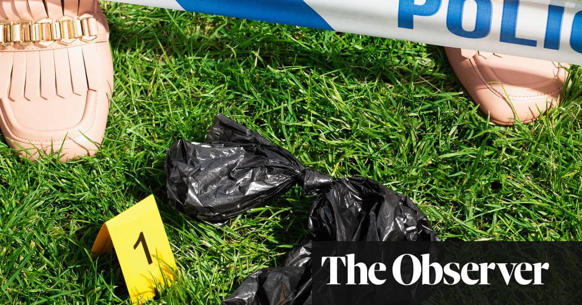 Another fine mess: clearing up the dog poo problem