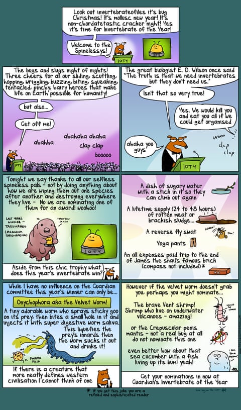 Invertebrate Of The Year, panel 1